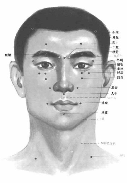 人体头部(bù)穴(xué)位图(正(zhèng)面) 人体头(tóu)部穴位图(正面)