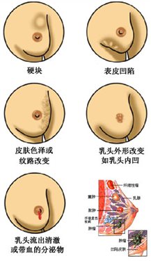 &#20896;&#20122;&#23448;&#26041;&#22312;&#32447;&#20837;&#21475;&#45;&#20896;&#20122;&#65288;&#20013;&#22269;&#65289;