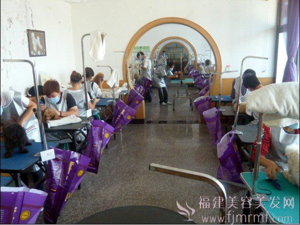 宠(chǒng)物美容学校实操课 宠物美容学校实操课(kè)
